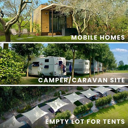 Seregner Agricamping & Homes - Adults Only 18 Monzambano Dış mekan fotoğraf