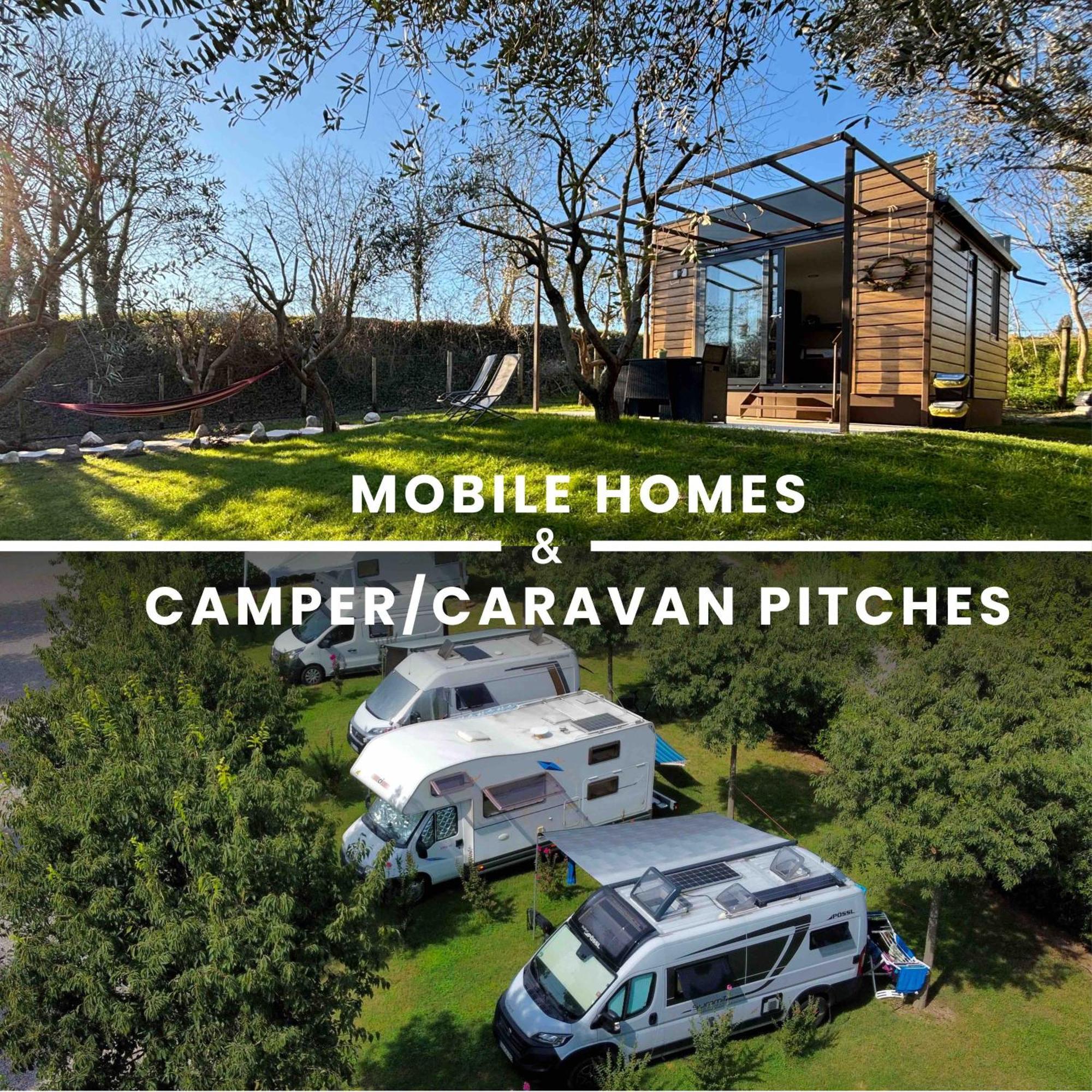 Seregner Agricamping & Homes - Adults Only 18 Monzambano Dış mekan fotoğraf
